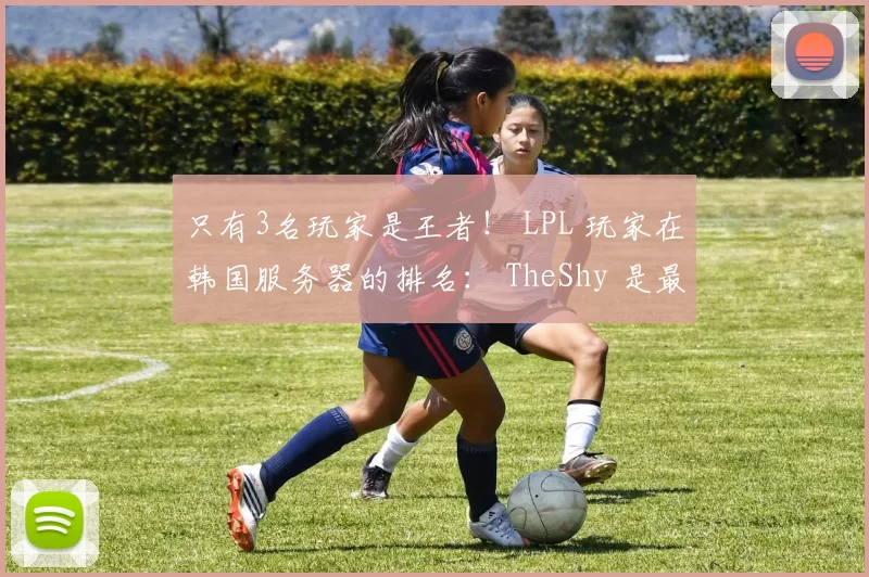只有3名玩家是王者！ LPL 玩家在韩国服务器的排名： TheShy 是最低的！ knight 也没有好到哪里去