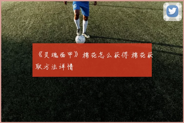 《灵魂面甲》棉花怎么获得 棉花获取方法详情