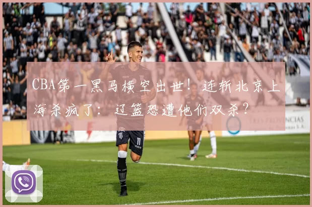CBA第一黑马横空出世！连斩北京上海杀疯了：辽篮恐遭他们双杀？