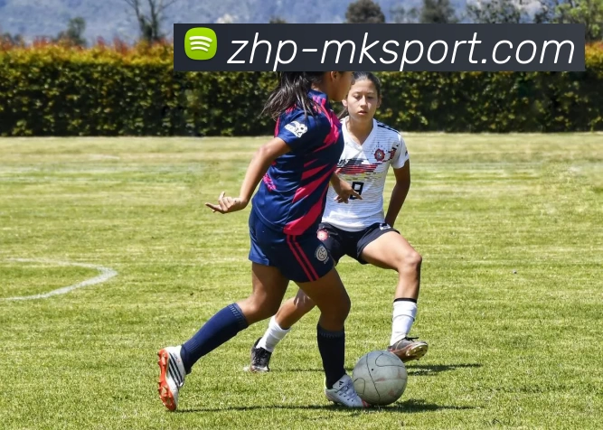 mk体育发展历程